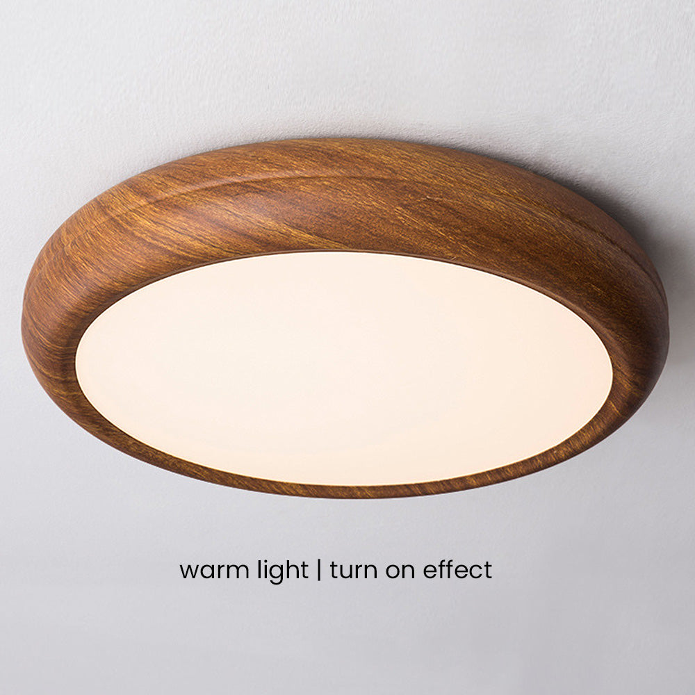 ELEVA - Wood and Iron LED Ceiling Light