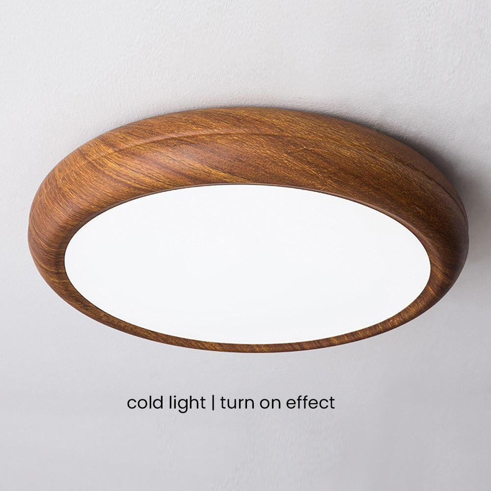 ELEVA - Wood and Iron LED Ceiling Light