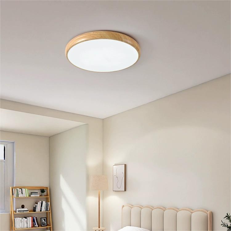 ELEVA - Wood and Iron LED Ceiling Light