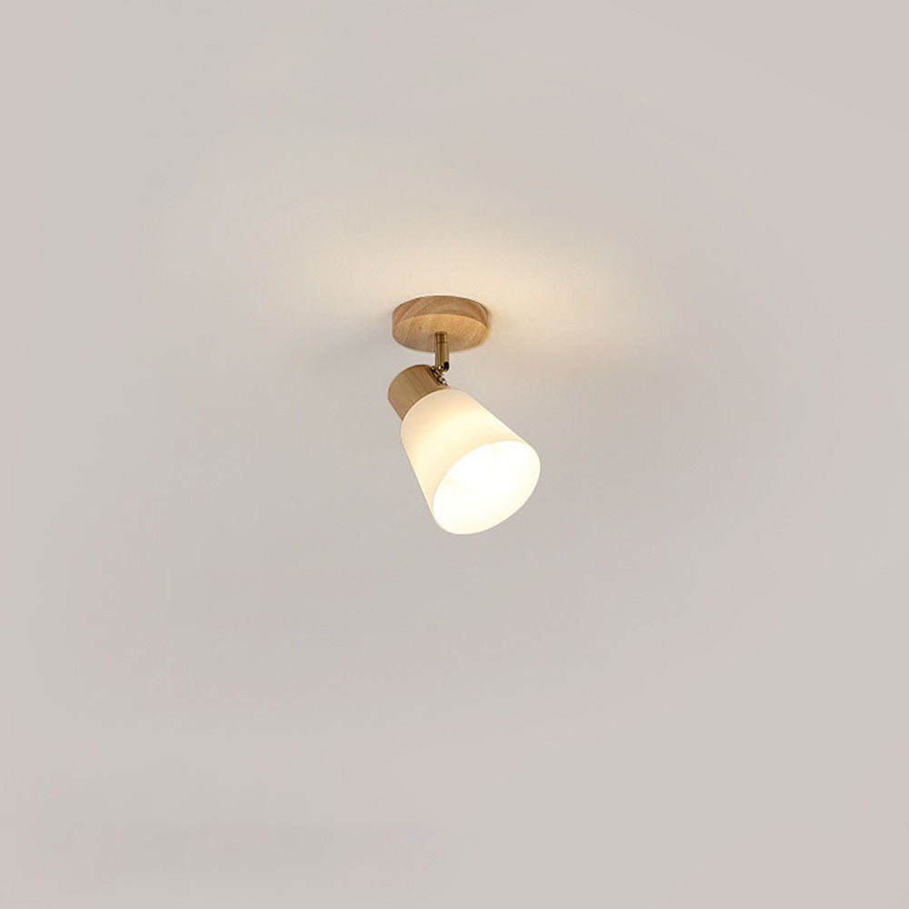 ILLUMIRAIL - Modern Rotatable Wood LED Track Light