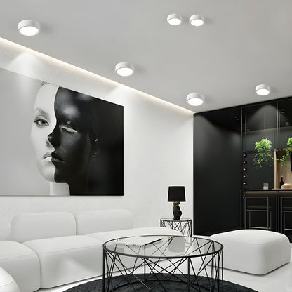URVIA - Contemporary Nordic Style Ceiling Light